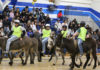 Donkey basketball