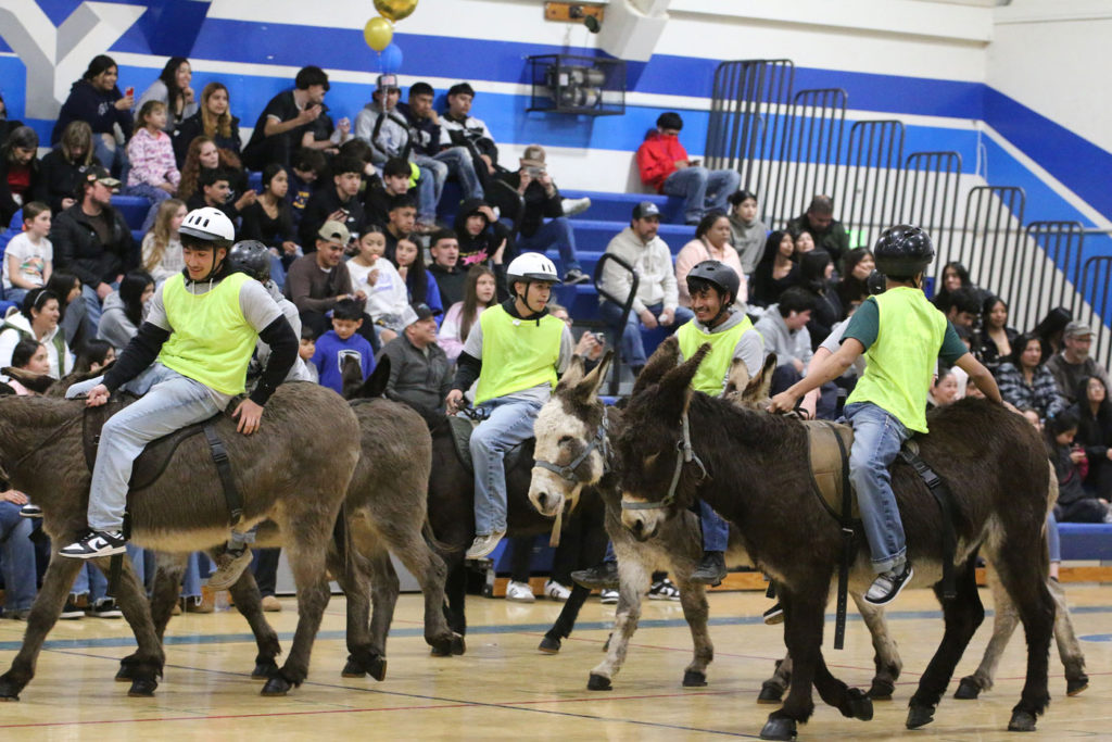 Image for display with article titled Donkey basketball draws crowd to King City High gym