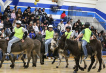 Donkey basketball