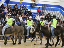 Donkey basketball