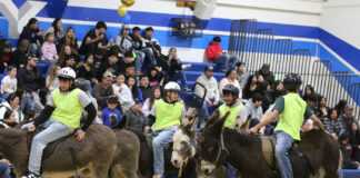 Donkey basketball