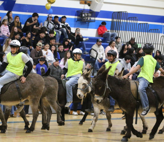 Donkey basketball