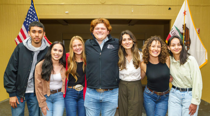 Rodeo scholarships