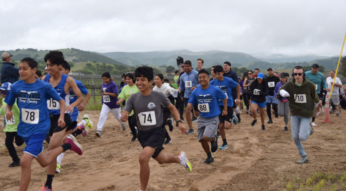 King City Rotary Club Rabbit Run
