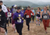 King City Rabbit Run