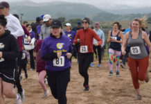 King City Rabbit Run