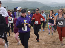 King City Rabbit Run