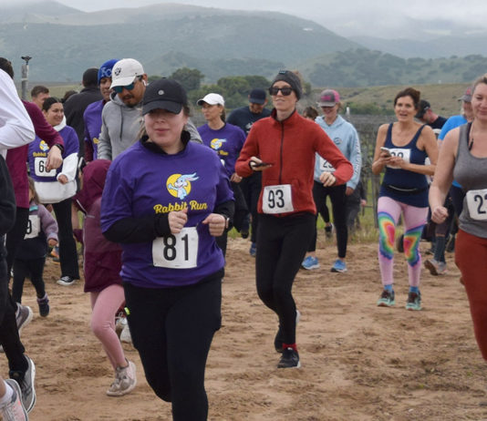 King City Rabbit Run