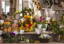 Salinas Valley Fair exhibits