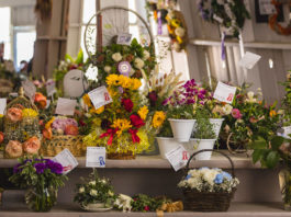 Salinas Valley Fair exhibits