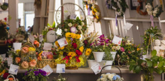 Salinas Valley Fair exhibits
