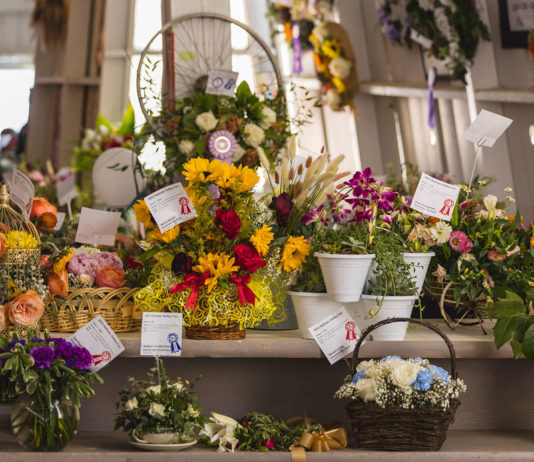 Salinas Valley Fair exhibits