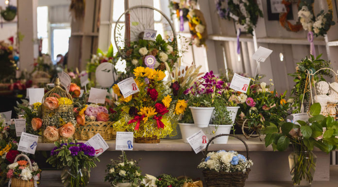 Salinas Valley Fair exhibits