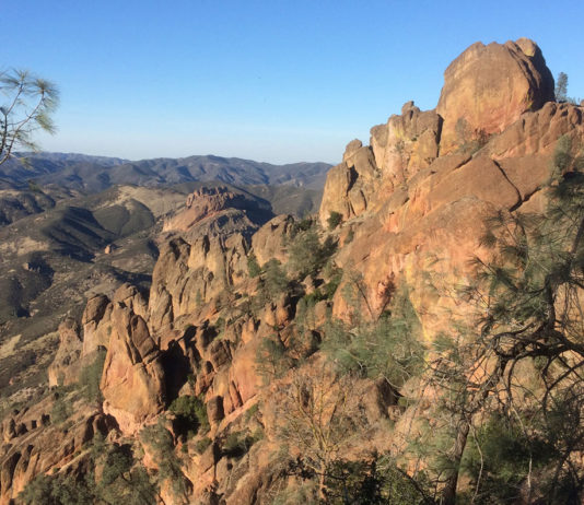 Pinnacles National Park