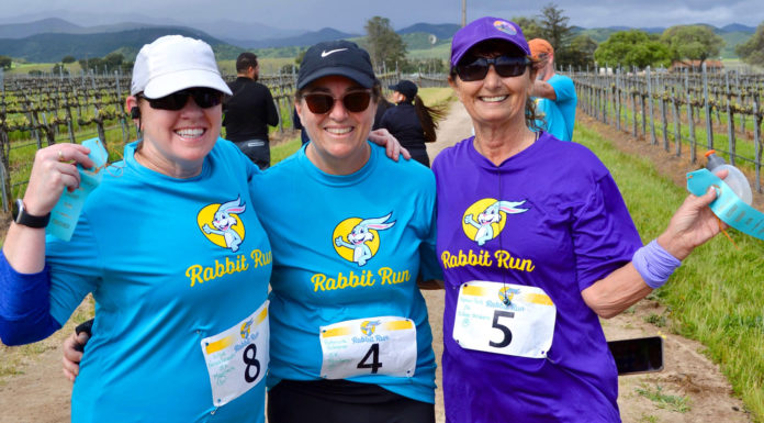King City Rabbit Run
