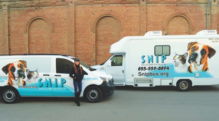 SNIP Bus