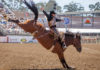 California Rodeo Salinas bull riding