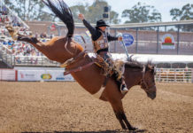 California Rodeo Salinas bull riding