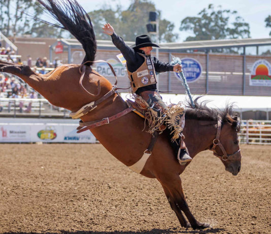 California Rodeo Salinas and Big Week Bull Riding tickets go on sale California Rodeo Salinas bull riding