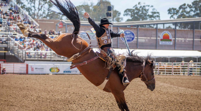 California Rodeo Salinas bull riding