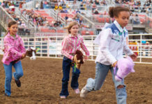 Rodeo