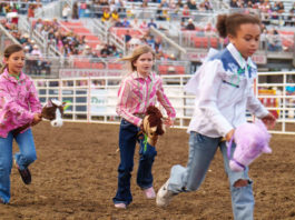 California Rodeo Salinas sets inaugural Junior Rodeo for June 9 Rodeo