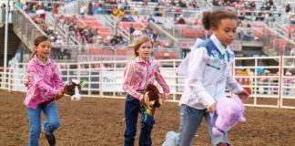 Rodeo