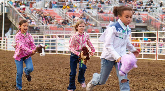 Rodeo