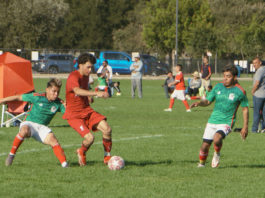 Soccer
