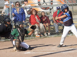 Little League