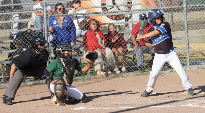 Little League