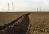 Monterey County crops