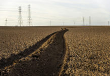 Monterey County crops