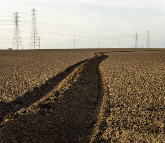 Monterey County crops