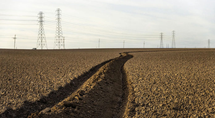 Monterey County crops