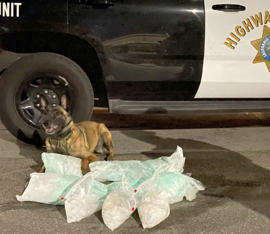 CHP K-9 sniffs out drugs worth $227K during traffic stop near King City