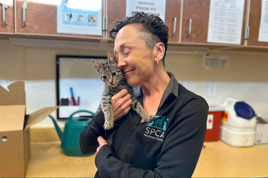 Image for display with article titled SPCA Monterey County Rescues Pets From Los Angeles Shelters Amid Ongoing Wildfires