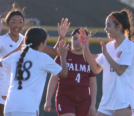 Soccer | South Monterey County teams lead divisions