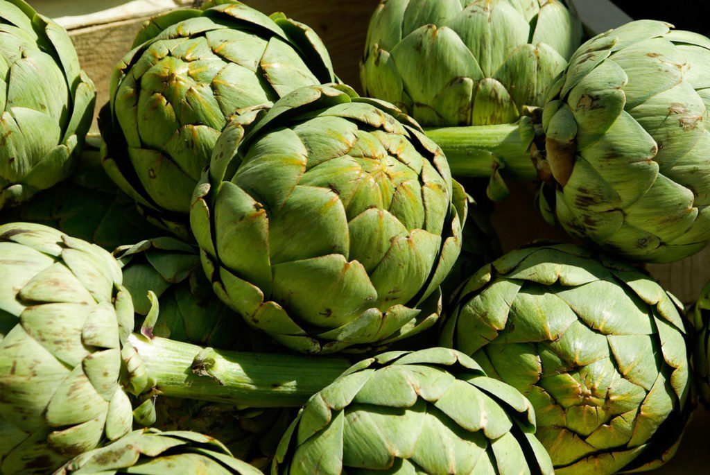 Image for display with article titled Artichoke Festival 2025 Returns to Its Roots in Salinas Valley