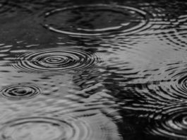 Multiple storm warnings take affect in Monterey County