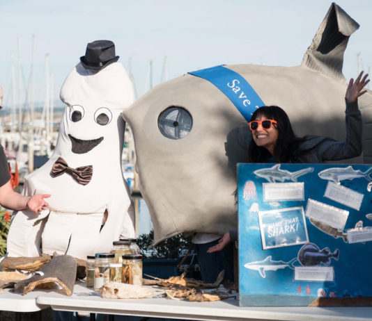 Whalefest Monterey 2025: A celebration of marine life set for April 12-13 Whalefest Monterey