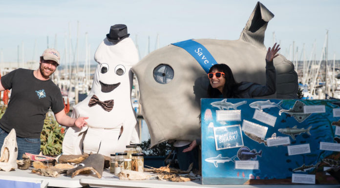Whalefest Monterey