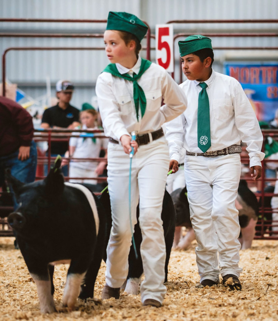 Salinas Valley Fair