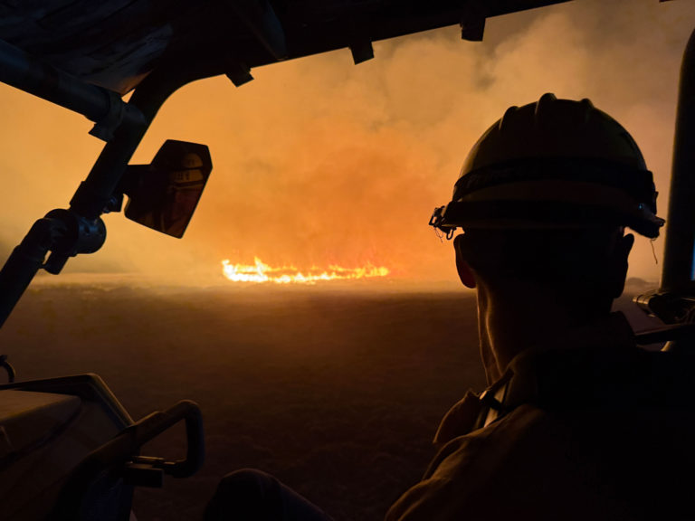 Fort Hunter Liggett dozer