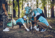 MCWDB Green CADRE program