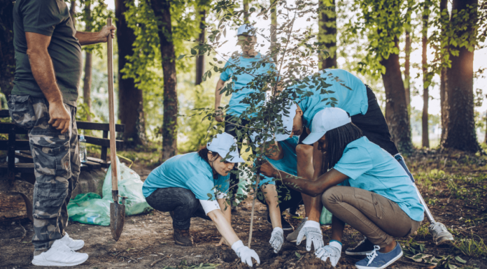 MCWDB Green CADRE program