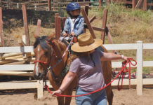 Wonder Wood Ranch equine therapy