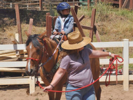 Wonder Wood Ranch equine therapy