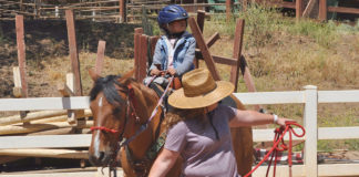 Wonder Wood Ranch equine therapy