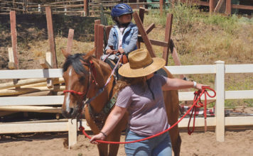 Wonder Wood Ranch equine therapy